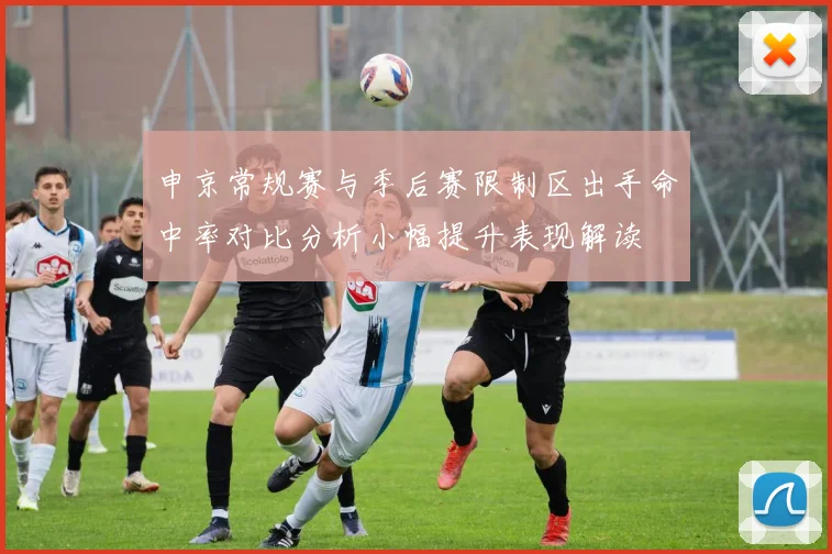 申京常规赛与季后赛限制区出手命中率对比分析小幅提升表现解读